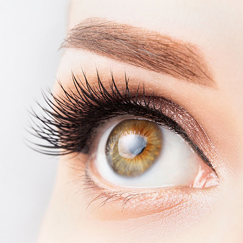 Stylizacja brwi i rzęs